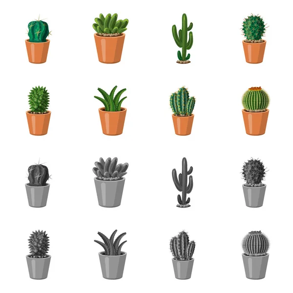 Oggetto isolato di cactus e simbolo del vaso. Set di cactus e cactus stock symbol per web . — Vettoriale Stock