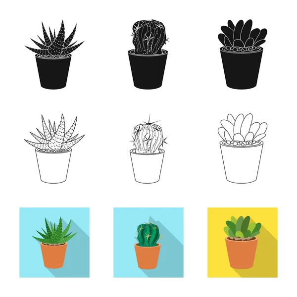 Vector afbeelding van de cactus en pot teken. Set cactus en cactussen aandelensymbool voor web. — Stockvector