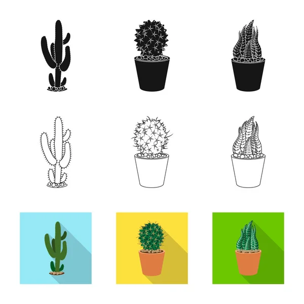 Isolerade objekt av kaktus och potten logotyp. Samling av kaktus och kaktusar vektor ikonen för lager. — Stock vektor