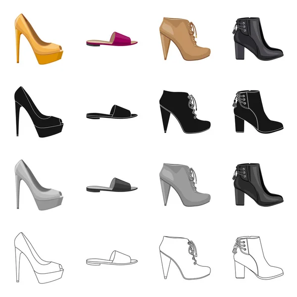 Conception vectorielle des chaussures et symbole de la femme. Collection de chaussures et illustration vectorielle du stock de pieds . — Image vectorielle