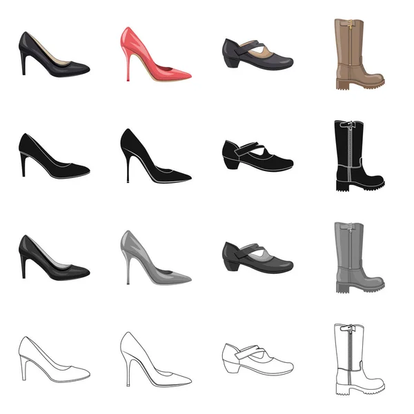 Vector design of footwear and woman symbol. Set of footwear and foot stock vector illustration. — Stock Vector