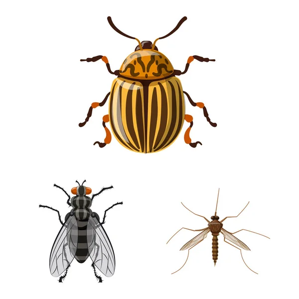 Ilustración Vectorial Del Símbolo Insectos Moscas Colección Insectos Elemento Vector — Archivo Imágenes Vectoriales