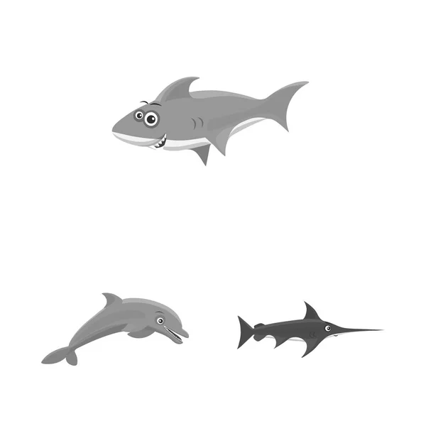 Ilustração Vetorial Símbolo Mar Animal Coleção Mar Símbolo Estoque Marinho — Vetor de Stock