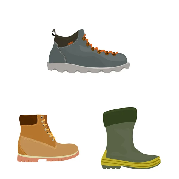 Vector Illustration Shoe Footwear Sign Set Shoe Foot Vector Icon — Stock Vector