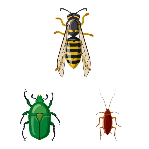 昆虫とフライのロゴの孤立したオブジェクト。昆虫と要素の株式ベクトル図のセット. — ストックベクタ