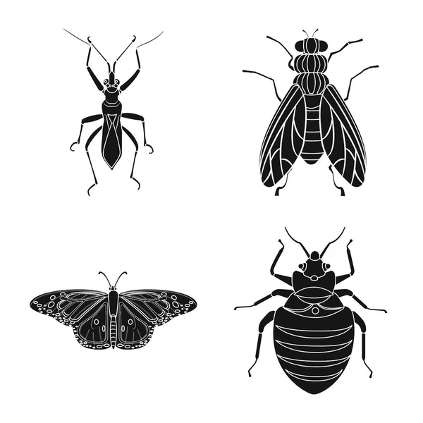 Objeto aislado de insecto y signo de mosca. Conjunto de insecto y elemento símbolo de stock para web . — Archivo Imágenes Vectoriales