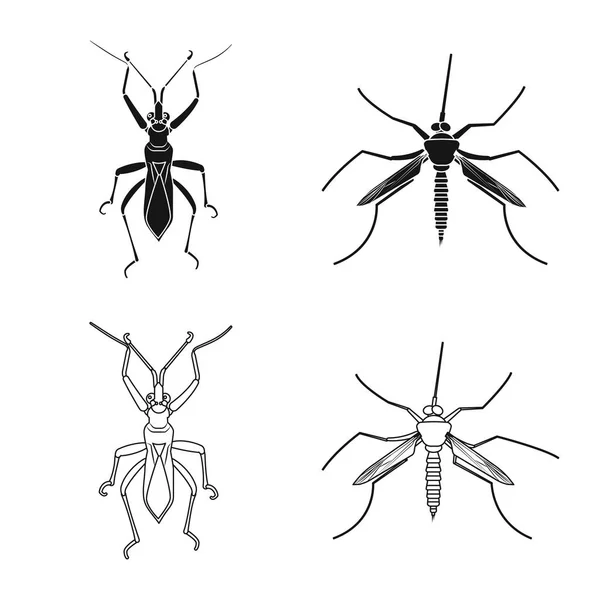Векторная иллюстрация логотипа насекомого и мухи. Коллекция символа запаса насекомых и элементов для сети . — стоковый вектор