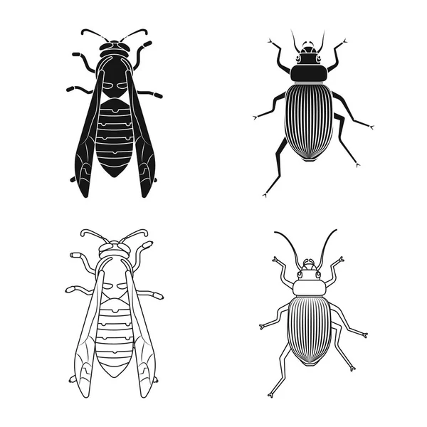 Vektordesign von Insekten- und Fliegensymbol. Sammlung von Insekten- und Elementaktivvektordarstellungen. — Stockvektor