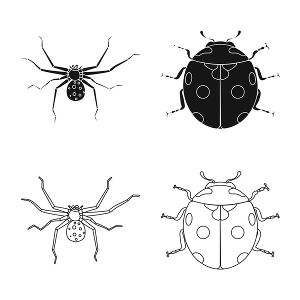 곤충 및 비행 로고의 고립 된 개체입니다. 주식에 대 한 곤충 및 요소 벡터 아이콘의 컬렉션. — 스톡 벡터