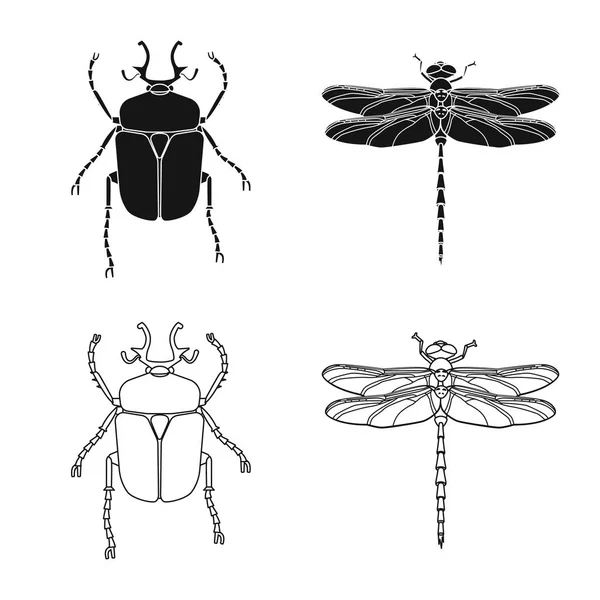 Conception vectorielle de l'icône insecte et mouche. Ensemble d'icône vectorielle d'insecte et d'élément pour le stock . — Image vectorielle