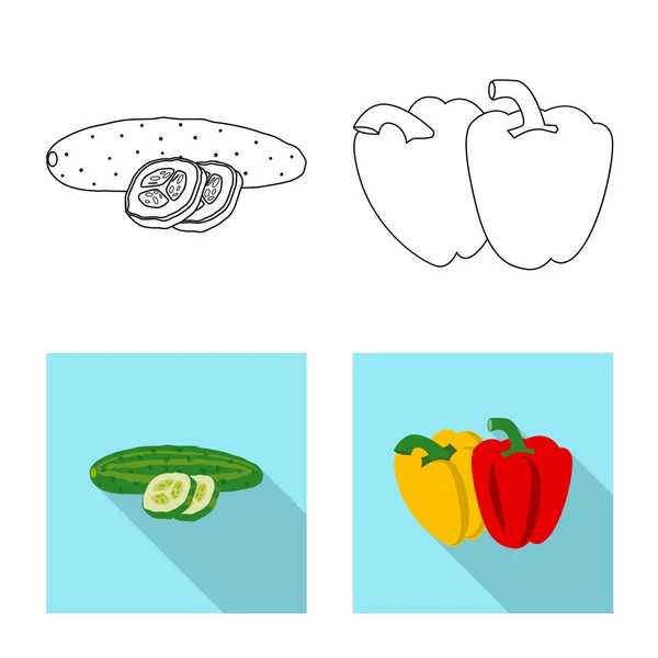 Illustrazione vettoriale dell'icona di frutta e verdura. Set di verdure e vegetariano stock simbolo per il web . — Vettoriale Stock