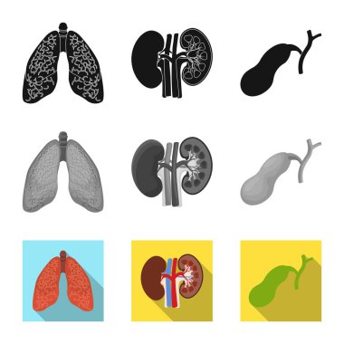 Vücut ve insan sembolü yalıtılmış nesne. Vücut ve hisse senedi için tıbbi vektör ikon koleksiyonu.