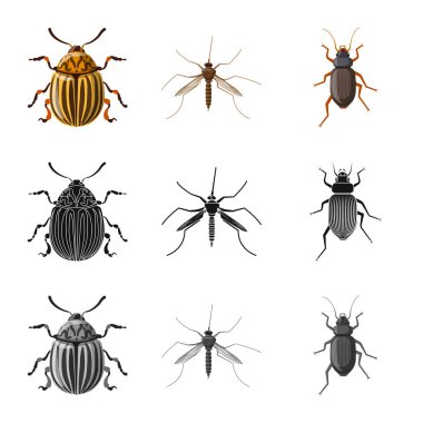 Böcek ve sinek simge vektör tasarımı. Böcek ve öğe hisse senedi vektör çizim seti.