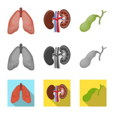 Vücut ve insan sembolü yalıtılmış nesne. Vücut ve hisse senedi için tıbbi vektör simge kümesi.