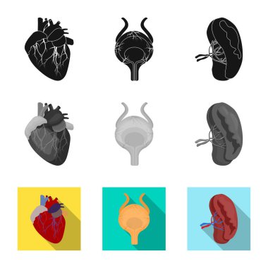 Vücut ve insan işareti vektör çizimi. Vücut ve tıbbi hisse senedi vektör çizim koleksiyonu.