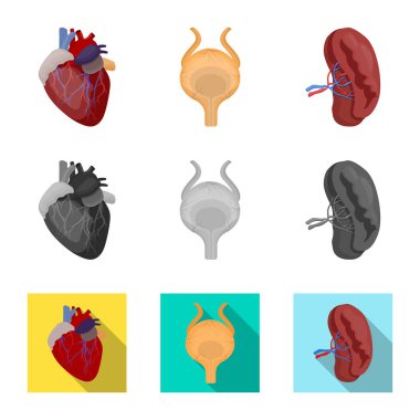 Vücut ve insan simge vektör tasarımı. Vücut ve hisse senedi için tıbbi vektör ikon koleksiyonu.