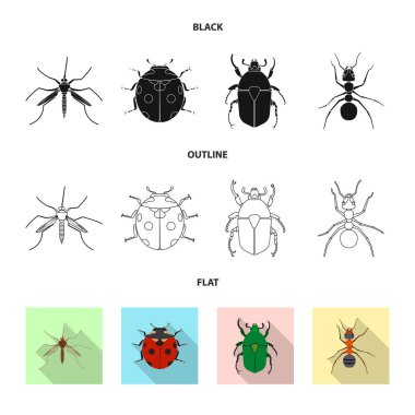 Böcek ve sinek logo vektör tasarımı. Böcek ve öğe hisse senedi vektör çizim topluluğu.