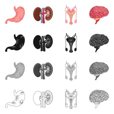 Vücut ve insan simge vektör tasarımı. Vücut ve hisse senedi için tıbbi vektör ikon koleksiyonu.