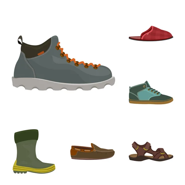 Diseño vectorial de zapato y signo de calzado. Set de zapatos y pies stock vector ilustración . — Archivo Imágenes Vectoriales