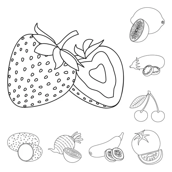 Conception vectorielle du logo des légumes et fruits. Ensemble d'illustration vectorielle de légumes et de bouillon végétarien . — Image vectorielle