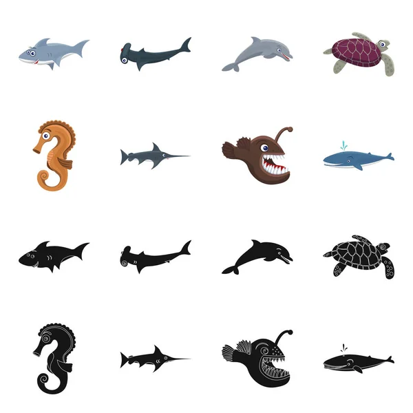 Diseño vectorial del icono del mar y los animales. Conjunto de ilustración de vectores marinos y marinos . — Vector de stock
