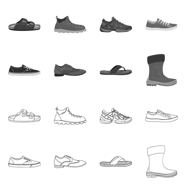 Conception vectorielle du symbole chaussure et chaussures. Collection de chaussures et icône vectorielle pied pour stock . — Image vectorielle