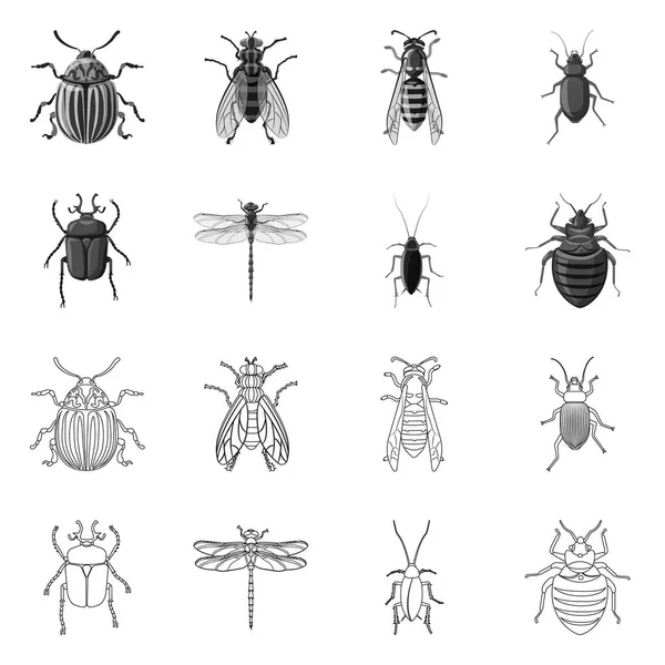 곤충 및 비행 로고의 벡터 그림입니다. 곤충 및 요소 주식 벡터 일러스트 레이 션의 컬렉션. — 스톡 벡터