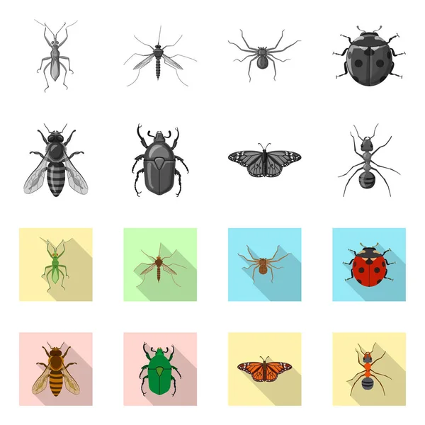 Böcek ve sinek simge vektör Illustration. Böcek ve öğe hisse senedi vektör çizim topluluğu. — Stok Vektör