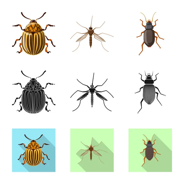 Geïsoleerde object van insecten en vliegen symbool. Set insect en element vector pictogram voor voorraad. — Stockvector