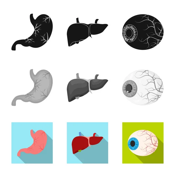 Ilustración vectorial del cuerpo y el logotipo humano. Conjunto de cuerpo y símbolo de stock médico para web . — Vector de stock