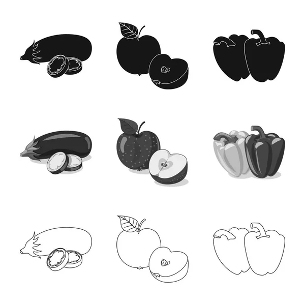 Design vettoriale del logo vegetale e della frutta. Set di icone vettoriali vegetali e vegetariane per brodo . — Vettoriale Stock