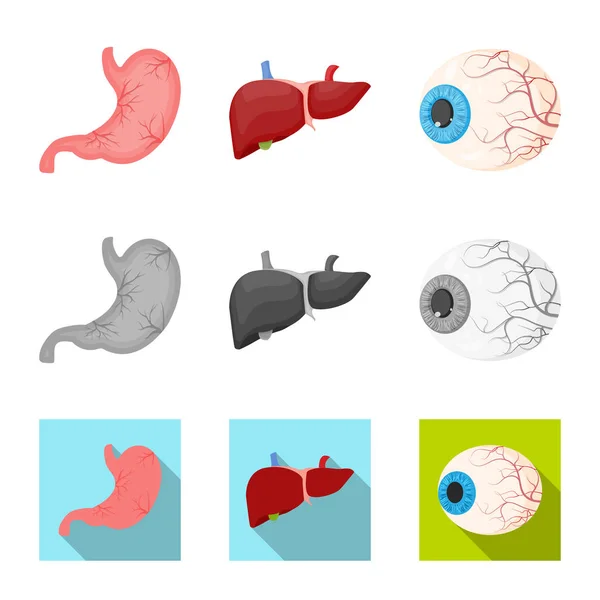 Objeto aislado del cuerpo y del icono humano. Conjunto de cuerpo y símbolo de stock médico para web . — Vector de stock