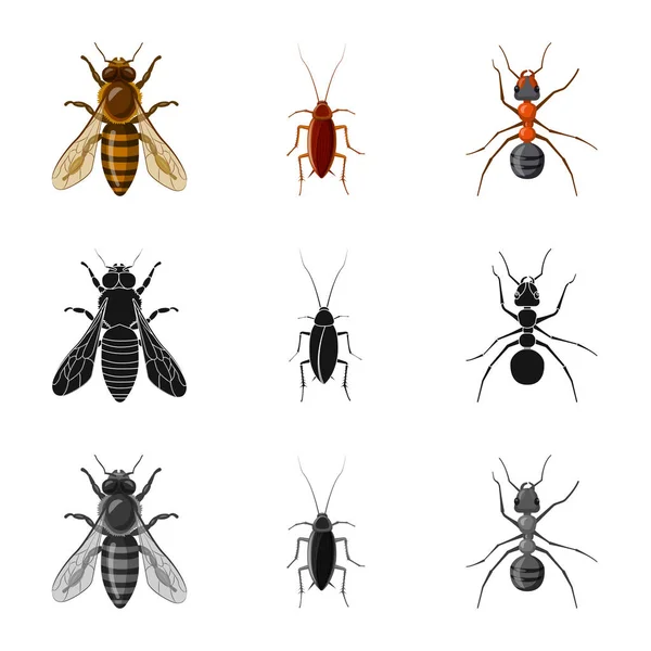 Diseño vectorial del símbolo de insectos y moscas. Conjunto de insecto y elemento stock vector ilustración . — Vector de stock