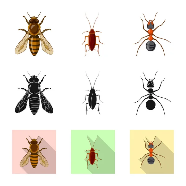 Векторная иллюстрация значка насекомого и мухи. Коллекция векторных иллюстраций насекомых и элементов . — стоковый вектор