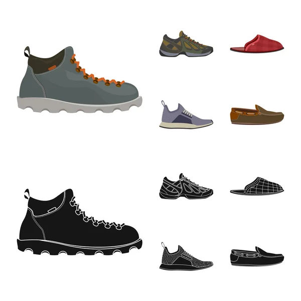 Progettazione vettoriale di scarpe e calzature segno. Collezione di scarpe e icona vettoriale del piede per magazzino . — Vettoriale Stock
