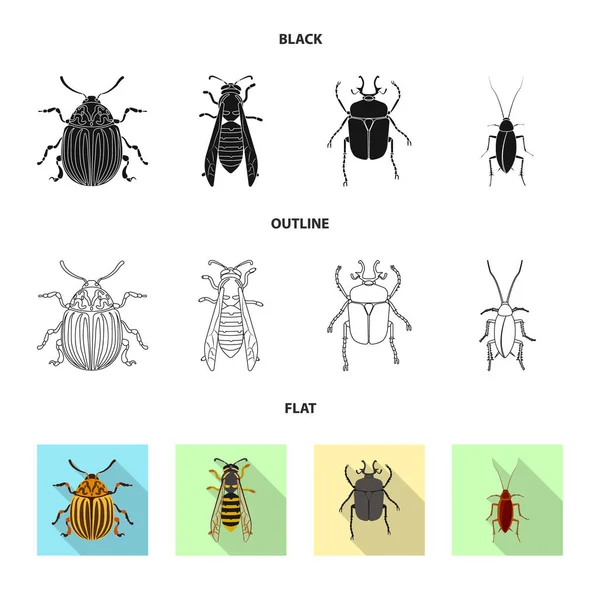 Ilustração vetorial do ícone de inseto e mosca. Conjunto de símbolo de estoque de insetos e elementos para web . — Vetor de Stock