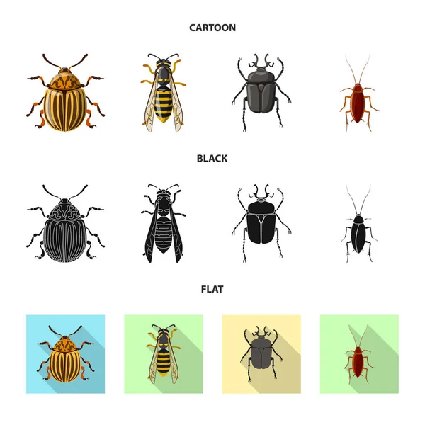 Objeto aislado de insecto e ícono de mosca. Colección de insectos y vector de stock de elementos ilustración . — Vector de stock