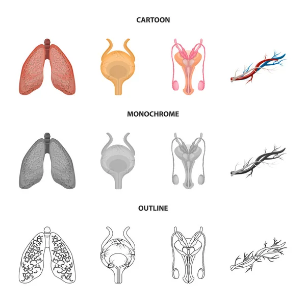 การออกแบบเวกเตอร์ของร่างกายและสัญลักษณ์ของมนุษย์ ชุดไอคอนของร่างกายและเวกเตอร์ทางการแพทย์สําหรับสต็อก . — ภาพเวกเตอร์สต็อก
