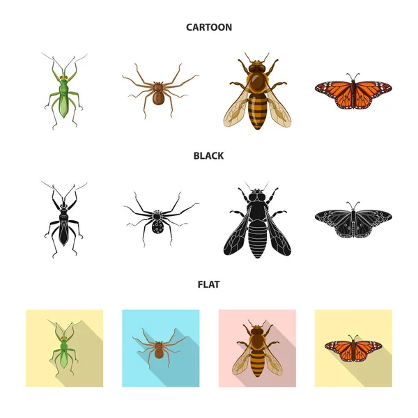 Isoliertes Objekt mit Insekten- und Fliegenlogo. Sammlung von Insekten- und Elementvektorsymbolen für Aktien. — Stockvektor