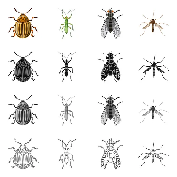 Geïsoleerde object van insecten en vliegen symbool. Collectie van insect en element vector pictogram voor voorraad. — Stockvector