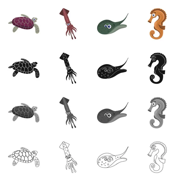 Conception vectorielle du signe de la mer et des animaux. Collection d'icône vectorielle marine et marine pour le stock . — Image vectorielle