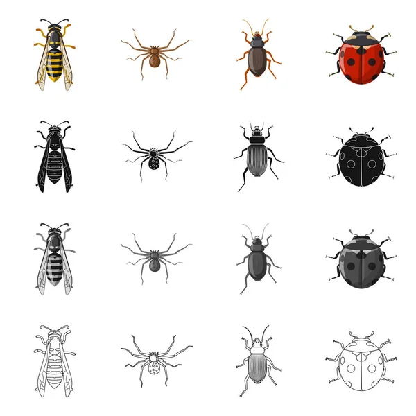 Vectorillustratie van insecten en vliegen logo. Collectie van insect en element vector pictogram voor voorraad. — Stockvector