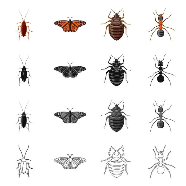 Векторная иллюстрация логотипа насекомого и мухи. Набор векторных значков насекомых и элементов для склада . — стоковый вектор
