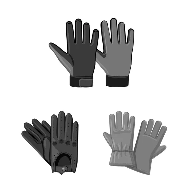 Diseño vectorial de guante e icono de invierno. Colección de guante y equipo icono vectorial para stock . — Vector de stock