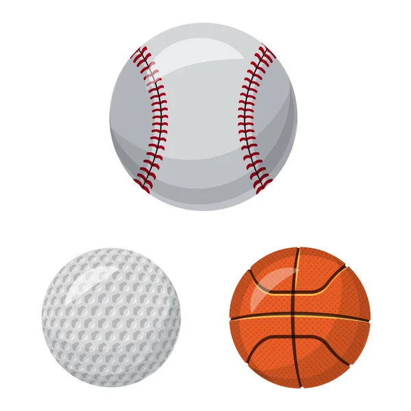 Vektor illustration av sport och ball tecken. Uppsättning av sport och atletisk aktiesymbol för webben. — Stock vektor