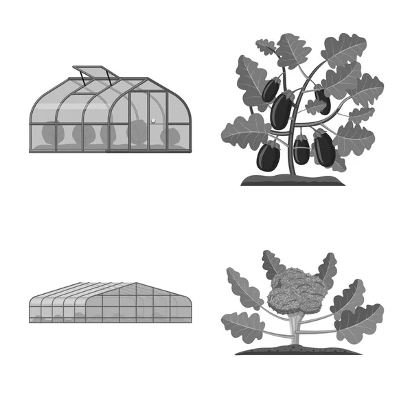Illustrazione vettoriale della serra e del simbolo vegetale. Set di icone vettoriali serra e giardino per magazzino . — Vettoriale Stock