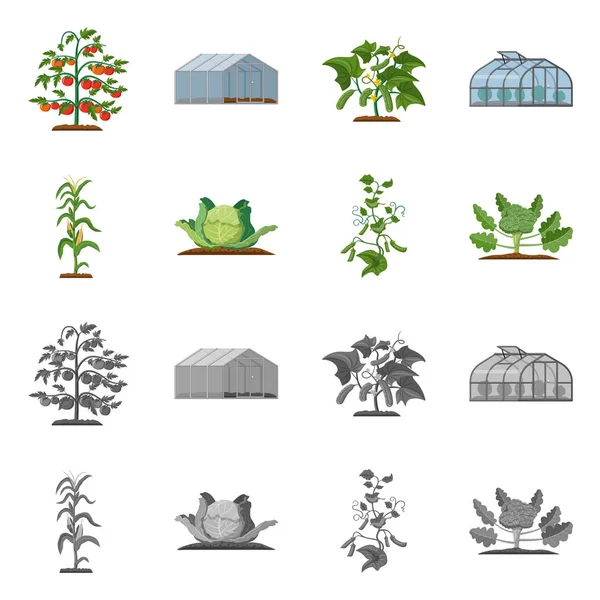 Ilustração vetorial do logotipo da estufa e da planta. Conjunto de estufa e jardim estoque vetor ilustração . —  Vetores de Stock