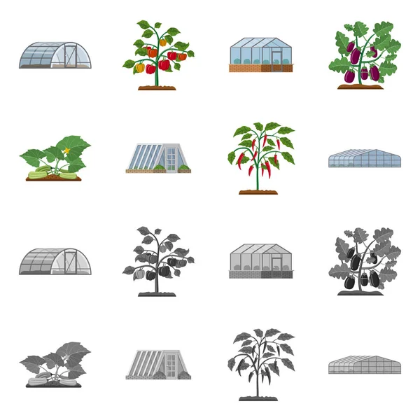 温室和植物标志的向量例证。网站的温室和花园股票符号收集. — 图库矢量图片