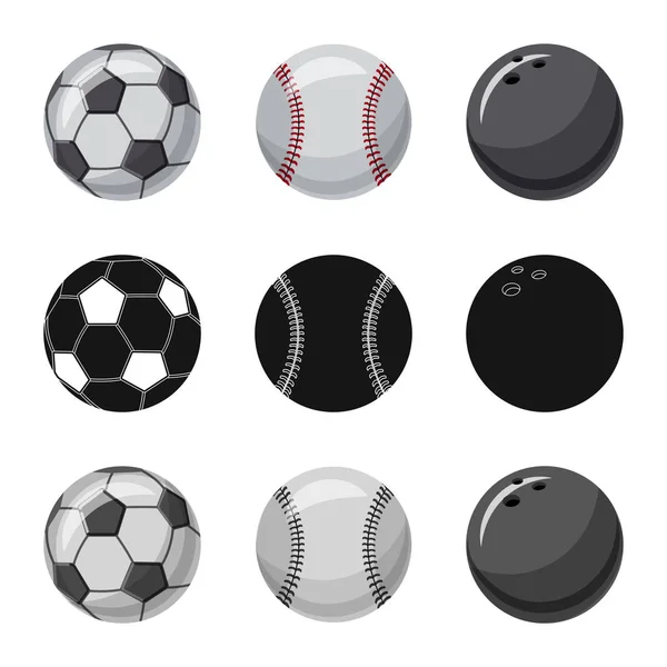 Conception vectorielle du sport et icône de balle. Ensemble de sport et symbole de stock athlétique pour le web . — Image vectorielle