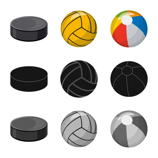 Isoliertes Objekt des Sports und Ballsymbols. Set von Sport- und Sportvektorsymbolen für Aktien. — Stockvektor